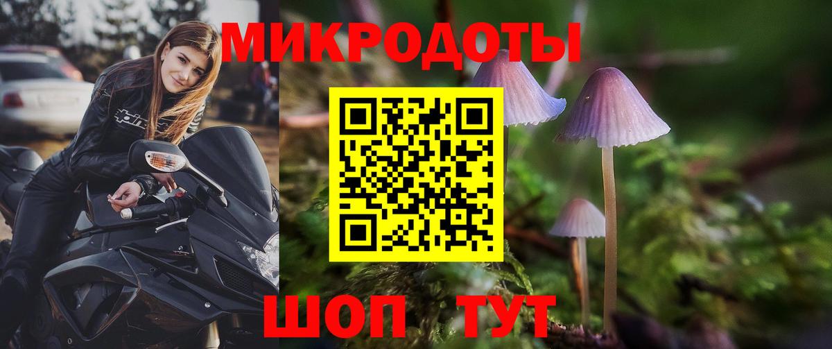 Псилоцибиновые грибы Psilocybine cubensis Удомля